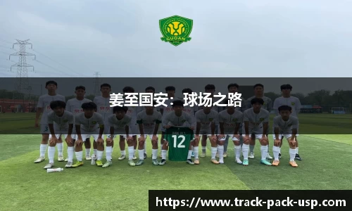姜至国安：球场之路